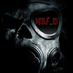 w0lf_Ei