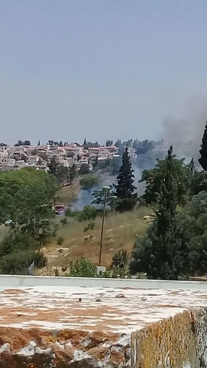 WhatsApp Image 2017-07-04 at 11.54.07.jpeg