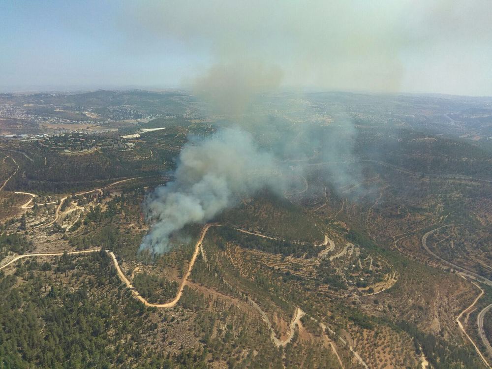 WhatsApp Image 2017-07-04 at 12.08.42.jpeg